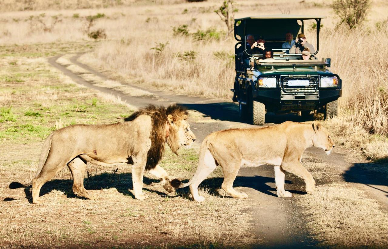 Esiweni Luxury Safari Lodge Ladysmith Ngoại thất bức ảnh