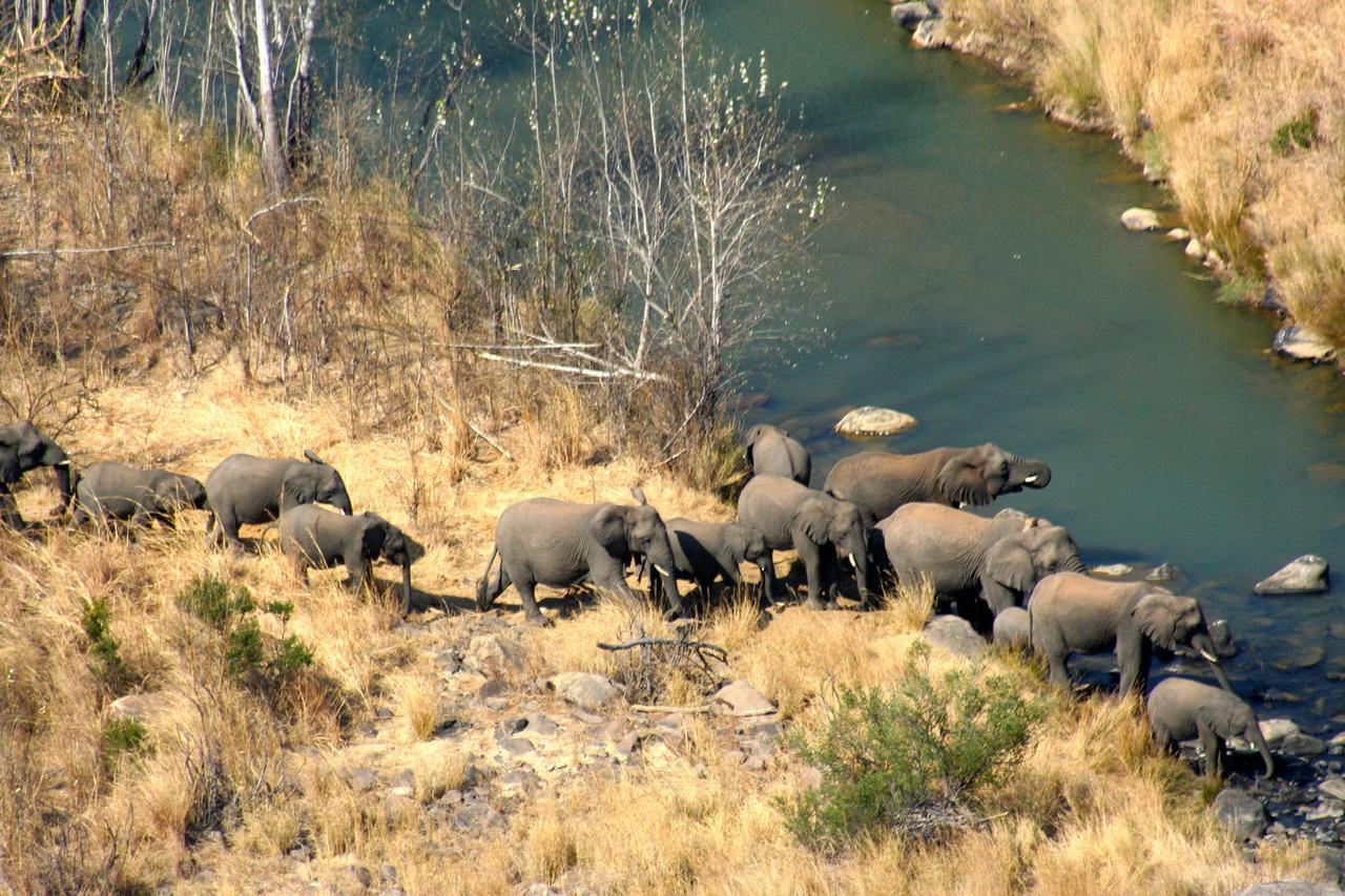 Esiweni Luxury Safari Lodge Ladysmith Ngoại thất bức ảnh